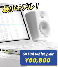 6010