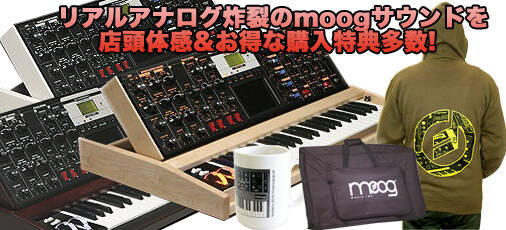 日本未発売！入手困難！MSW-810 アナログシンセサイザー 名機