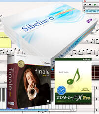 sibe382afe383ade382b9e382b0e383ace383bce38389