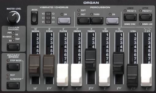 E5-OrganSection