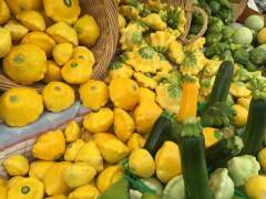 日本では見た事がないスクワッシュというズッキーニ系の野菜