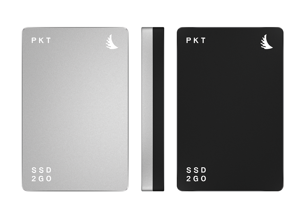 SSD2GO+PKT+silver+straight+1000x707_20160303