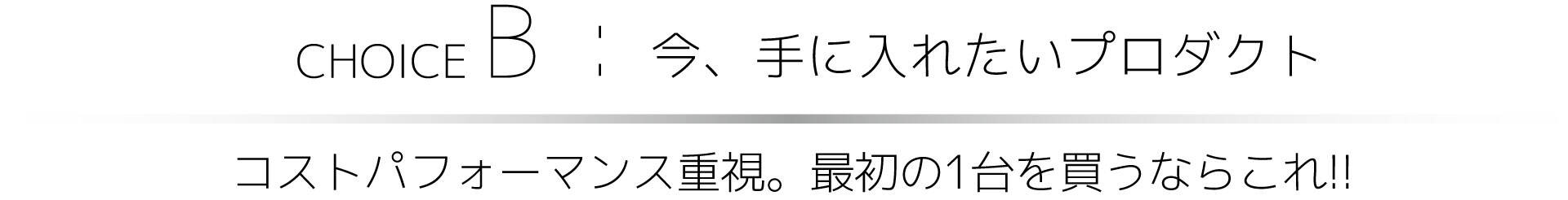 choiceB_02