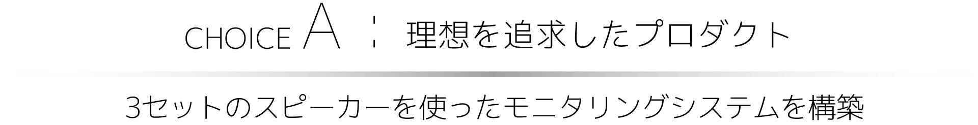 choiceA_02
