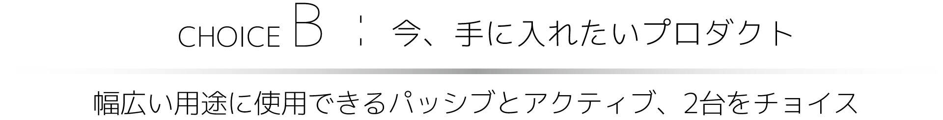 choiceB_02