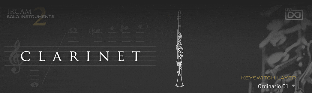 GUI_ISI2_Clarinet_GIF