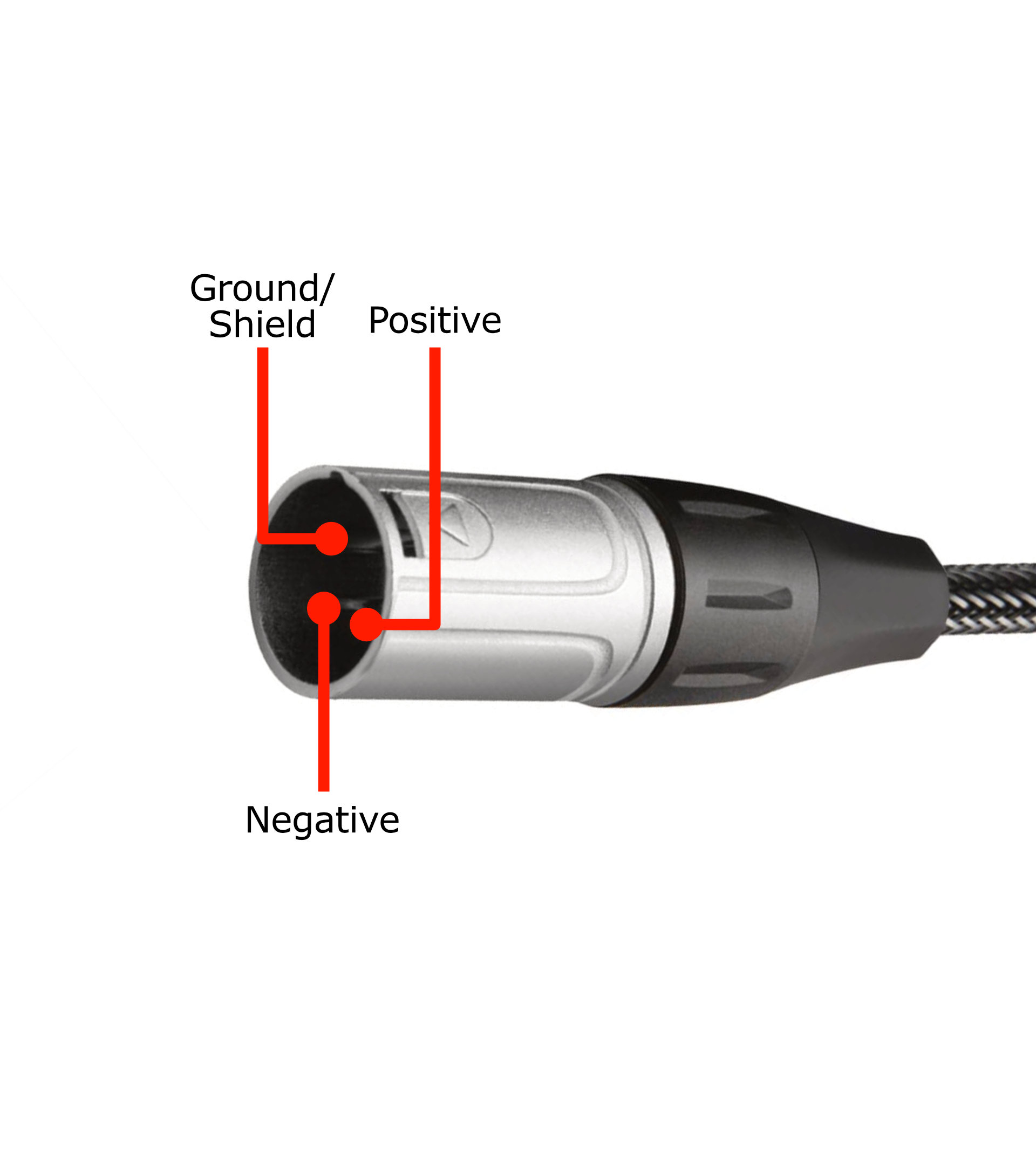 Xlr