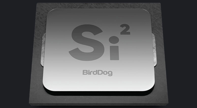 BirdDog_adobe