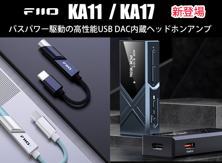LUXURY & PRECISION W2 131 ヘッドホンアンプ DAC（スマホ+ガチなUSB 