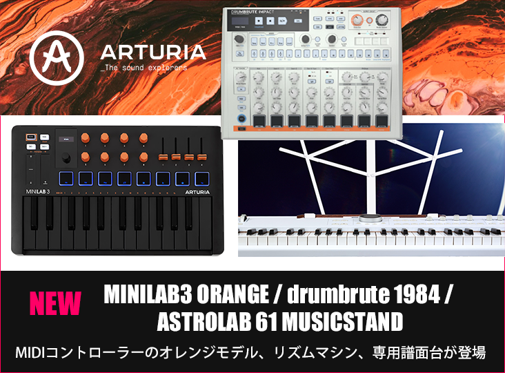 ロレックスの青サブ6選！コンビからゴールドモデルまでおすすめ