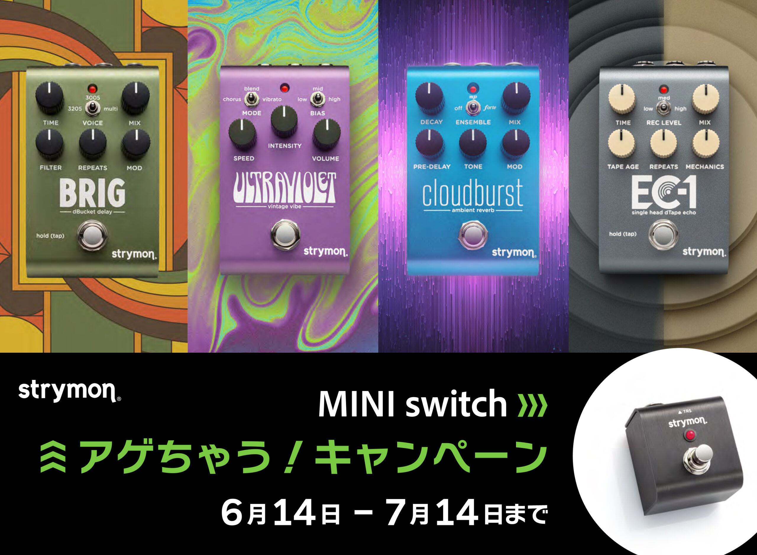 Strymon Mini Switch アゲちゃうキャンペーン