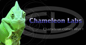 chameleon_image.jpg